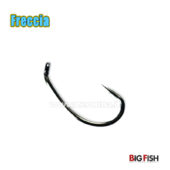 Big Fish Freccia