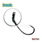 Big Fish Freccia