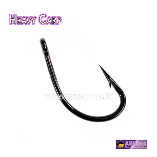 Ashima C887 Heavy Carp