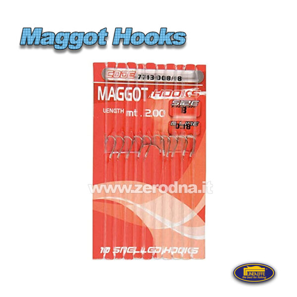 Ami Legati