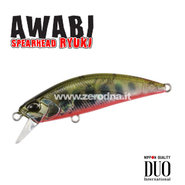 Duo Spearhead Ryuki Awabi