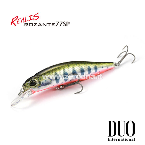 Duo Rozante Sp