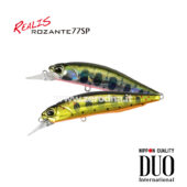 Duo Rozante Sp