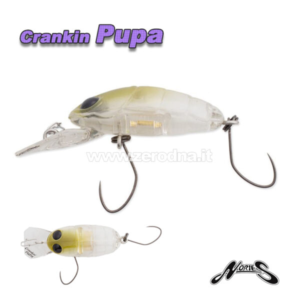 Nories Crankin Pupa - 111