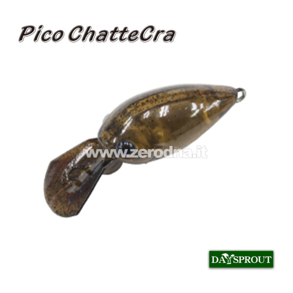 Daysprout Pico Chattercra