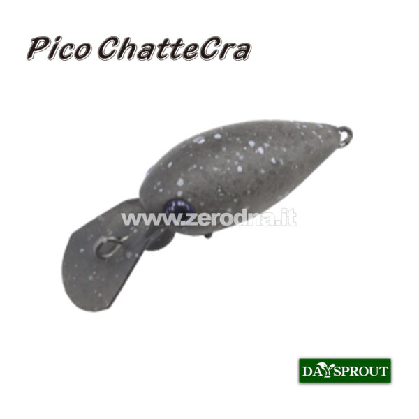 Daysprout Pico Chattercra