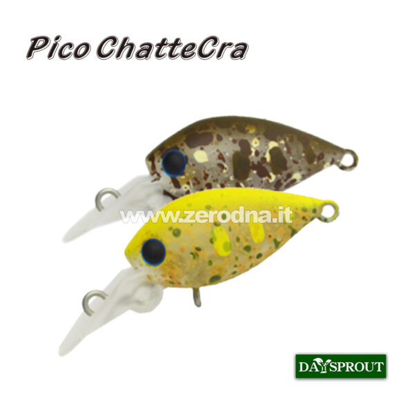 Daysprout Pico Chattercra