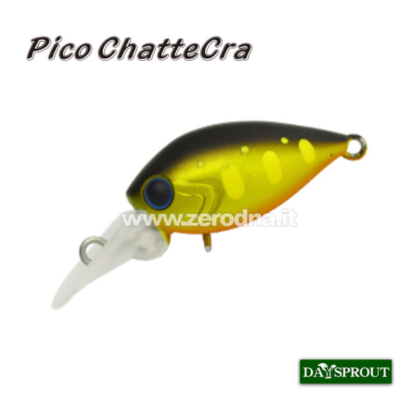 Daysprout Pico Chattercra