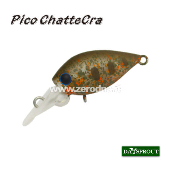 Daysprout Pico Chattercra