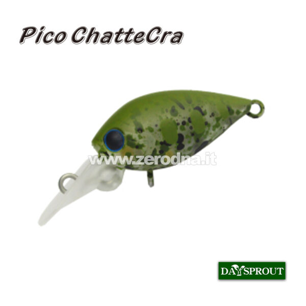 Daysprout Pico Chattercra