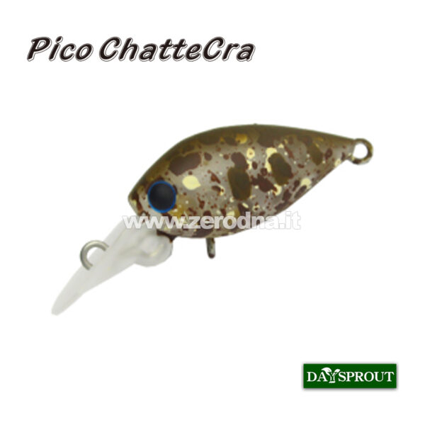 Daysprout Pico Chattercra