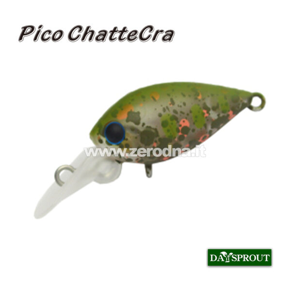 Daysprout Pico Chattercra