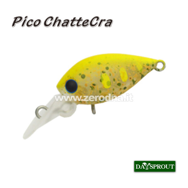 Daysprout Pico Chattercra