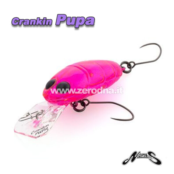 Nories Crankin Pupa