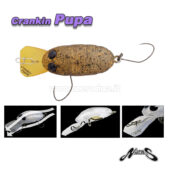 Nories Crankin Pupa