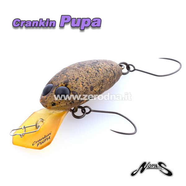 Nories Crankin Pupa