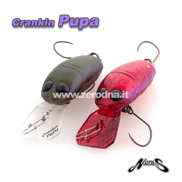 Nories Crankin Pupa