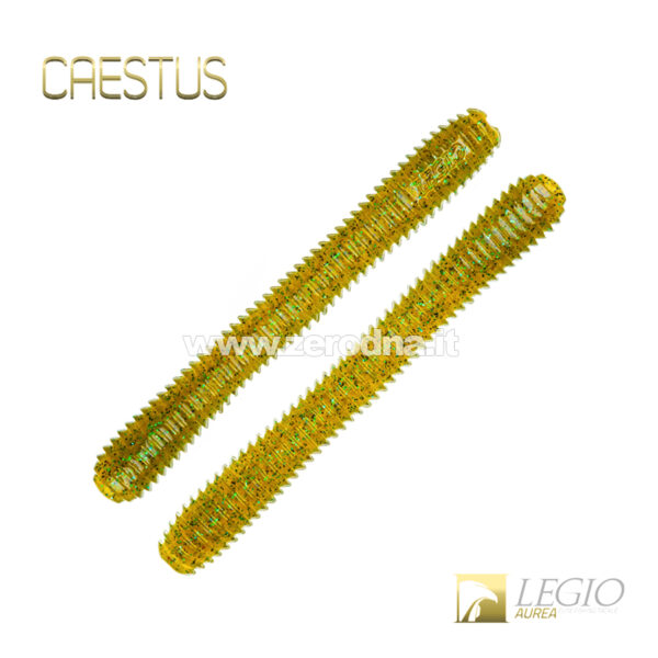 Legio Aurea Caestus - V