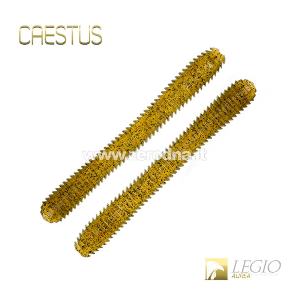 Legio Aurea Caestus
