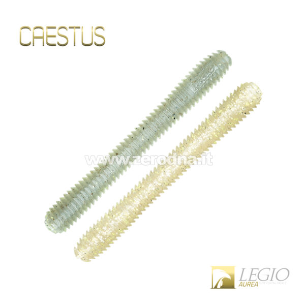 Legio Aurea Caestus - XIV