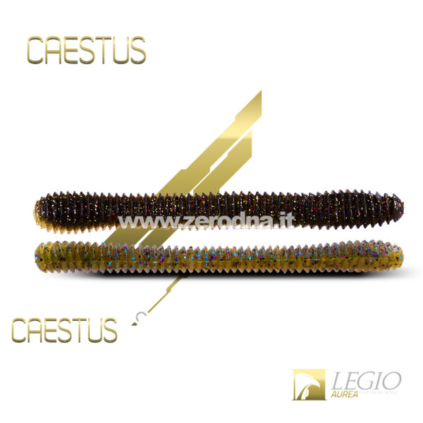 Legio Aurea Caestus