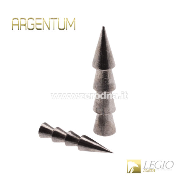 Legio Aurea Argentum Nail Insert 