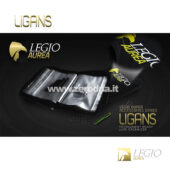 Legio Aurea Ligans Binder