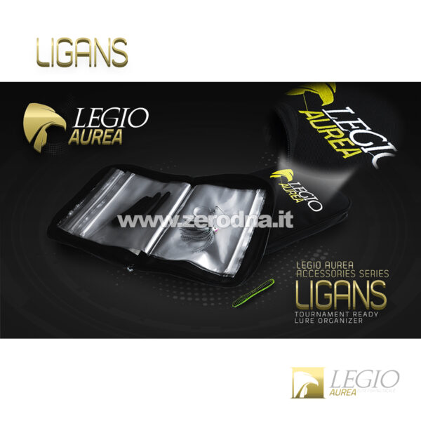 Legio Aurea Ligans Binder