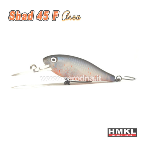 Hmkl Shad 45 F Area - MBP Shad Belly Splash