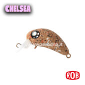 Rob Lure Chelsea F