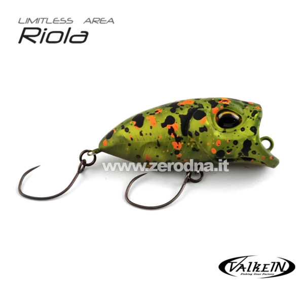 Valkein Riola - IT19-03