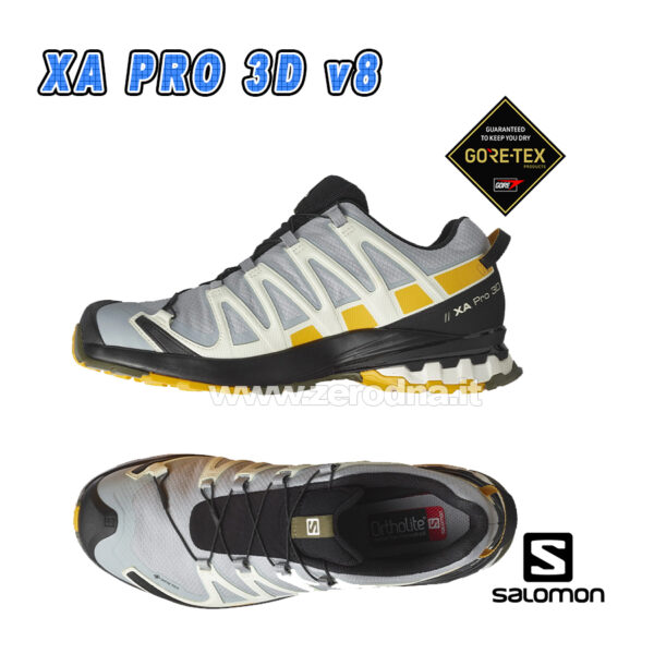 Salomon Xa Pro 3D V8 GTX