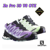 Salomon Xa Pro 3D V8 GTX W
