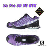 Salomon Xa Pro 3D V8 GTX W