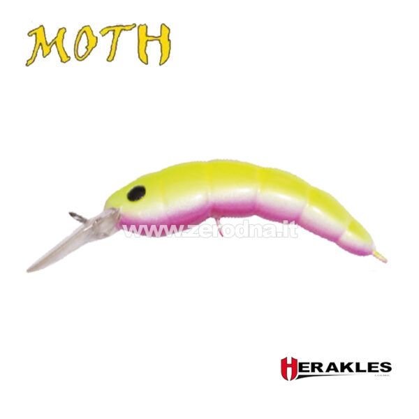 Herakles Moth