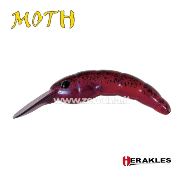 Herakles Moth