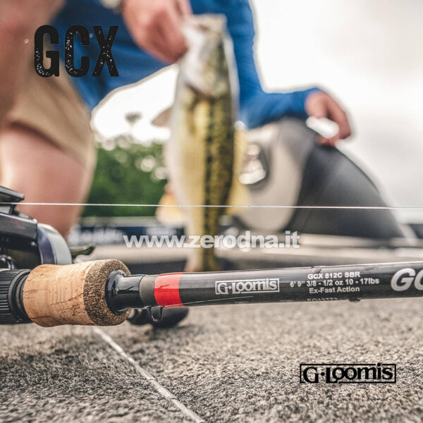 G.Loomis GCX