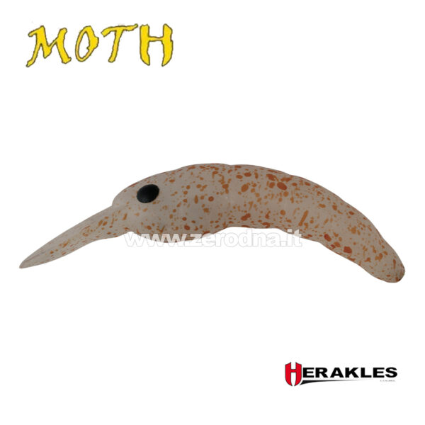 Herakles Moth