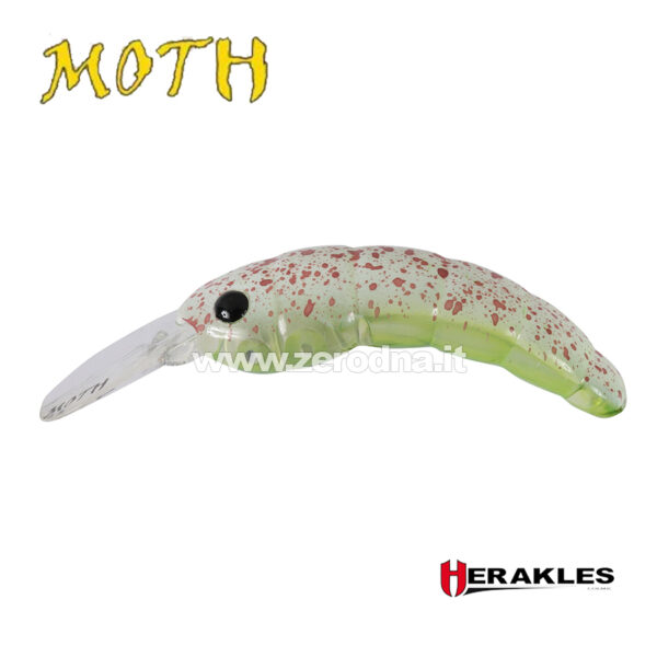 Herakles Moth