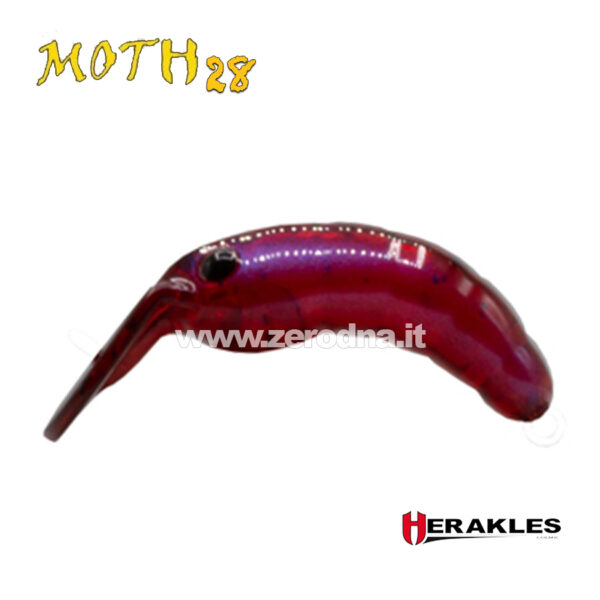 Herakles Moth 28