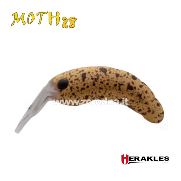 Herakles Moth 28