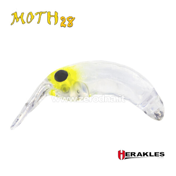 Herakles Moth 28