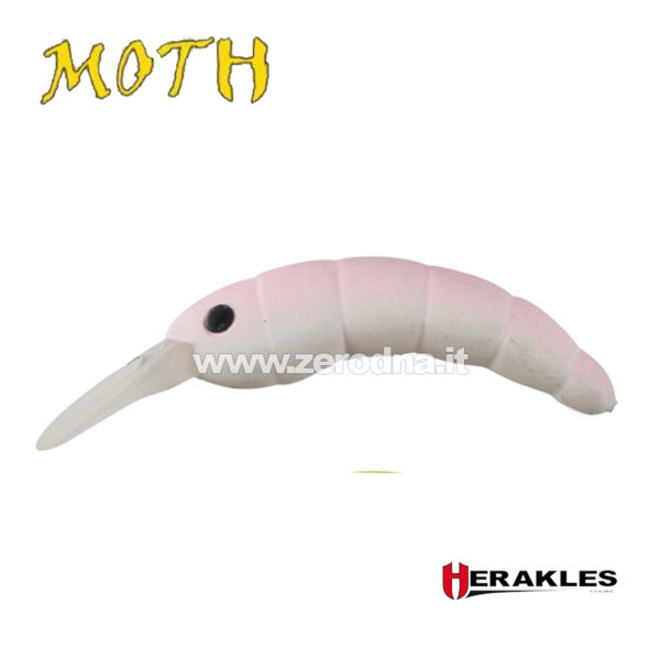 Herakles Moth