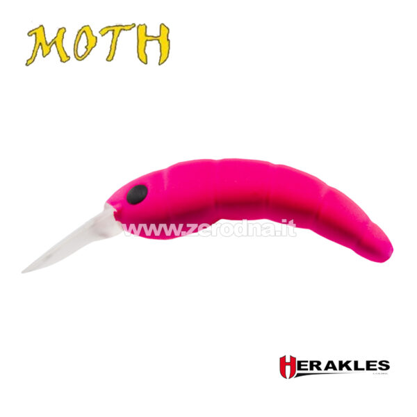 Herakles Moth