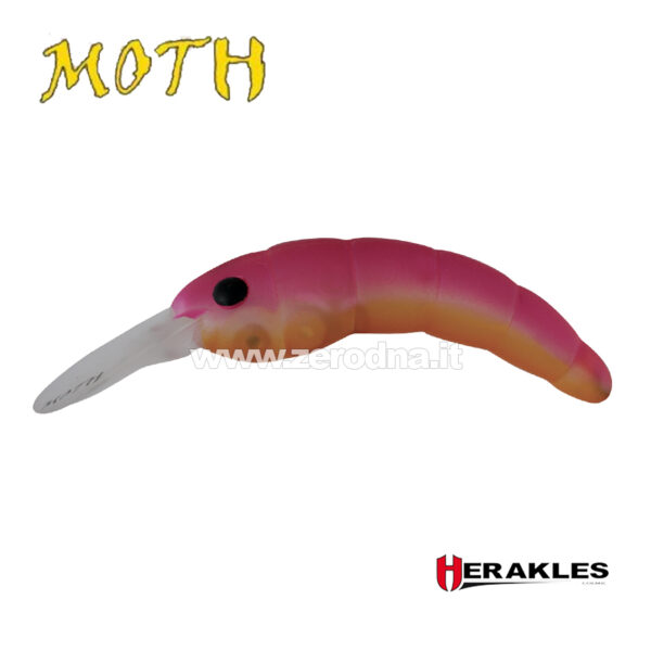 Herakles Moth