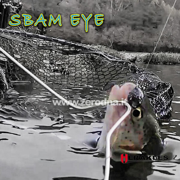 Herakles Sbam Eye