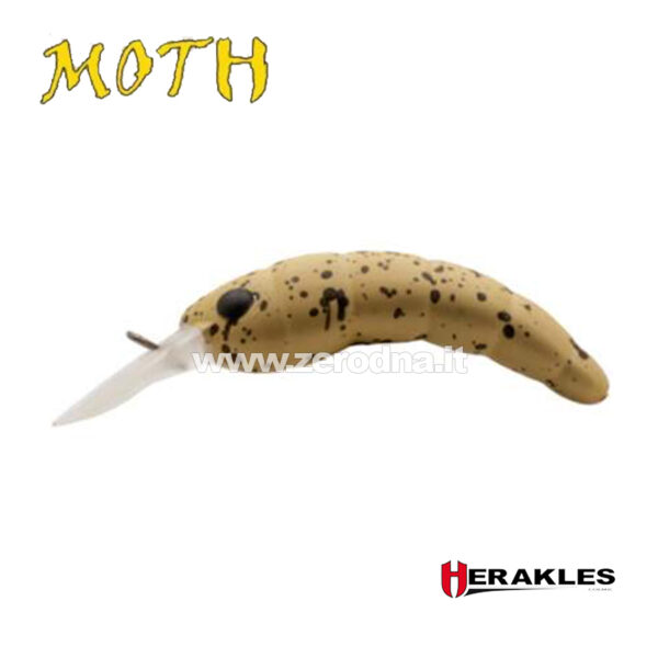 Herakles Moth