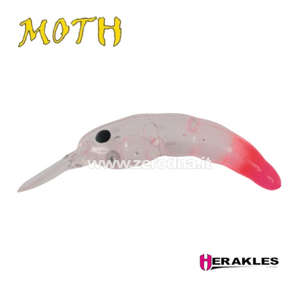Herakles Moth