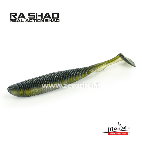 Molix Ra Shad