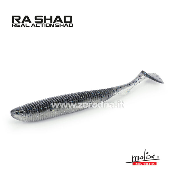 Molix Ra Shad